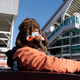 Photo: Tony Dejak/AP